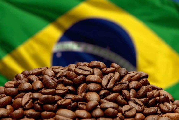 Brazil Exotic coffee beans