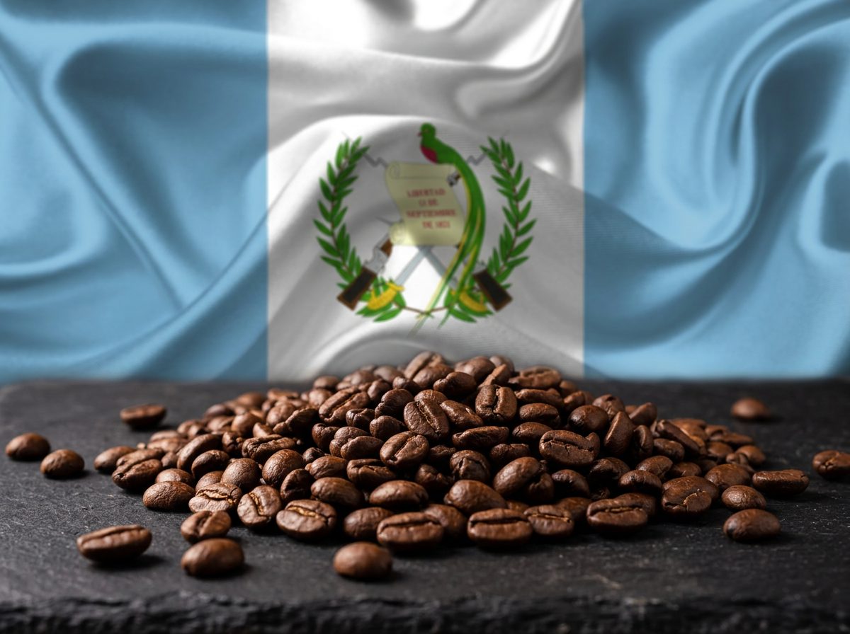Guatemala Antigua coffee beans